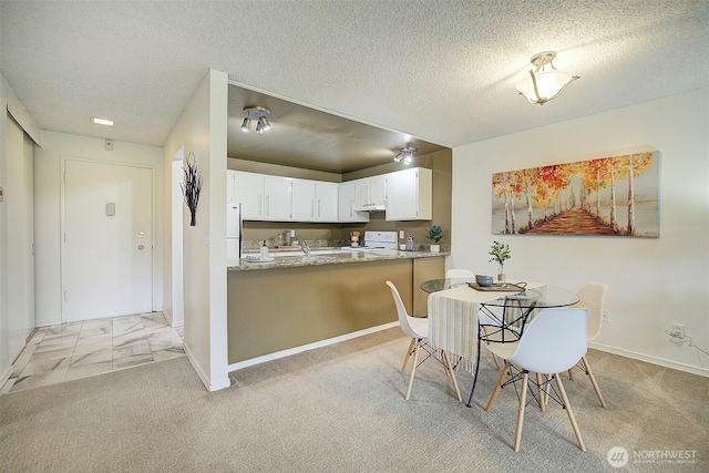 dining room featuring baseboards, a textured ceiling, and light colored carpet