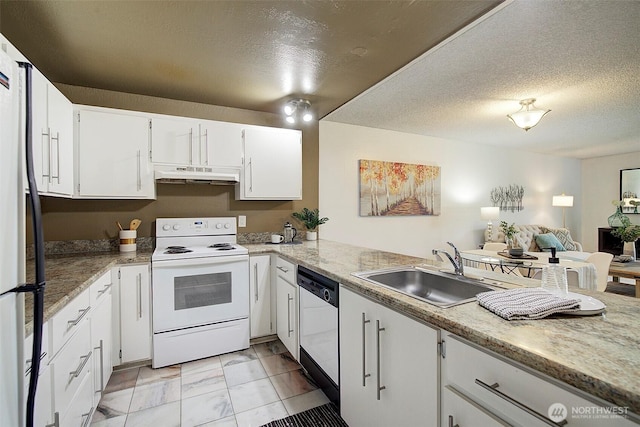 kitchen with white range with electric cooktop, dishwasher, under cabinet range hood, a sink, and freestanding refrigerator