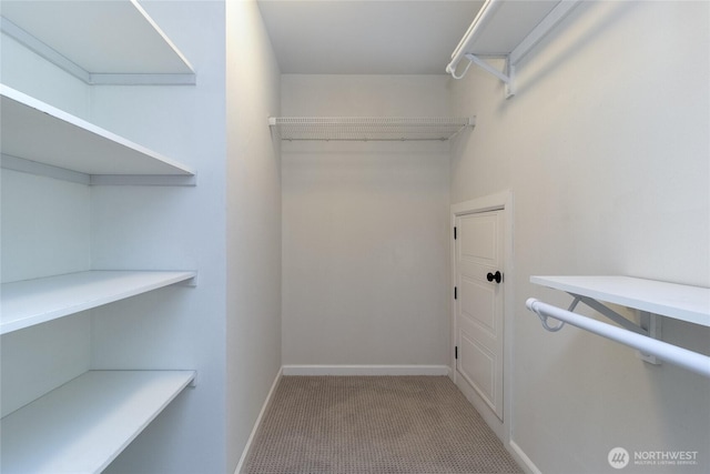 spacious closet with carpet floors