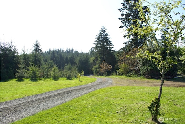 615 George Taylor Rd, Silverlake, WA 98645 - view of road with a view of trees