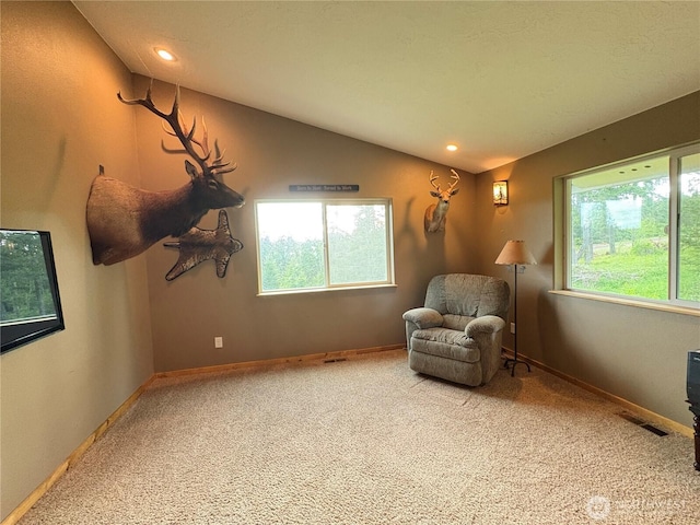 615 George Taylor Rd, Silverlake, WA 98645 - sitting room featuring carpet floors, plenty of natural light, lofted ceiling, recessed lighting, and baseboards