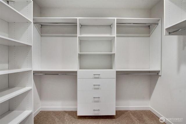 walk in closet featuring carpet