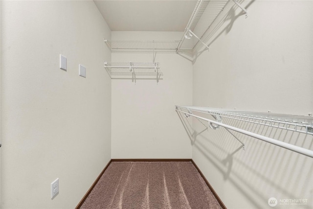19013 63rd St E, Lake Tapps, WA 98391 - walk in closet with carpet floors