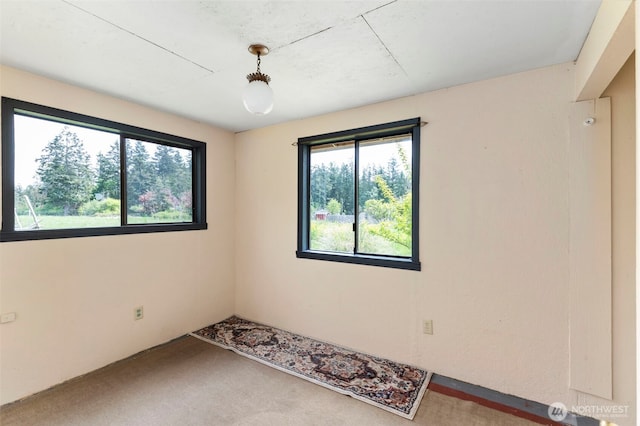 660 Schwartz Rd, Nordland, WA 98358 - empty room featuring plenty of natural light and carpet