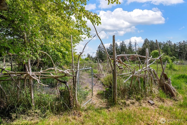 660 Schwartz Rd, Nordland, WA 98358 - view of nature