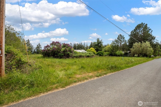 660 Schwartz Rd, Nordland, WA 98358 - view of asphalt road