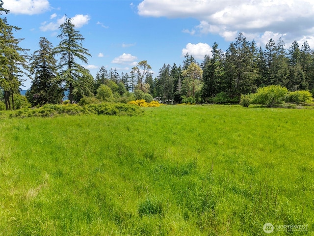 660 Schwartz Rd, Nordland, WA 98358 - view of local wilderness