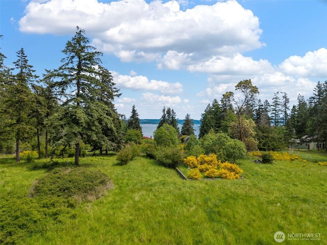 660 Schwartz Rd, Nordland, WA 98358 - view of undeveloped land featuring a large body of water