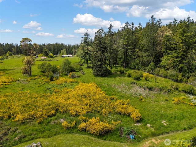 660 Schwartz Rd, Nordland, WA 98358 - drone / aerial view of a heavily wooded area
