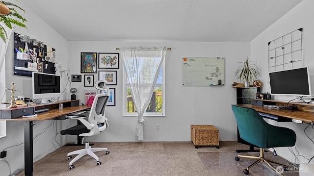 9904 237th Street Ct E, Graham, WA 98338 - office area with carpet flooring