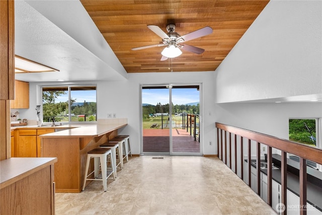 9320 96th St NE, Arlington, WA 98223 - kitchen with healthy amount of natural light, vaulted ceiling, wood ceiling, a ceiling fan, and light countertops