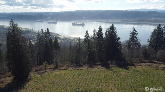 171 W Newt Ests, Longview, WA 98632