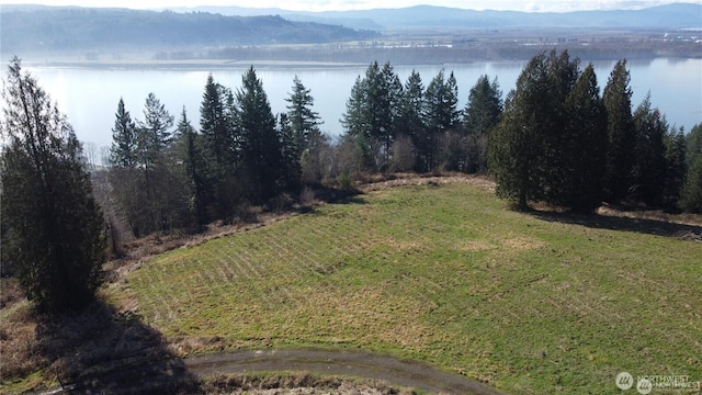 171 W Newt Ests, Longview, WA 98632