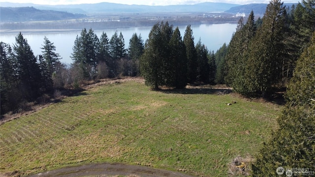 171 W Newt Ests, Longview, WA 98632
