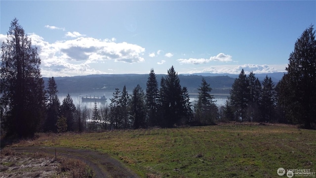 171 W Newt Ests, Longview, WA 98632