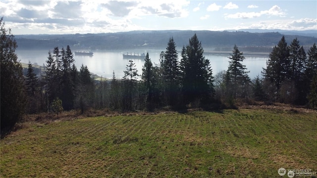 171 W Newt Ests, Longview, WA 98632
