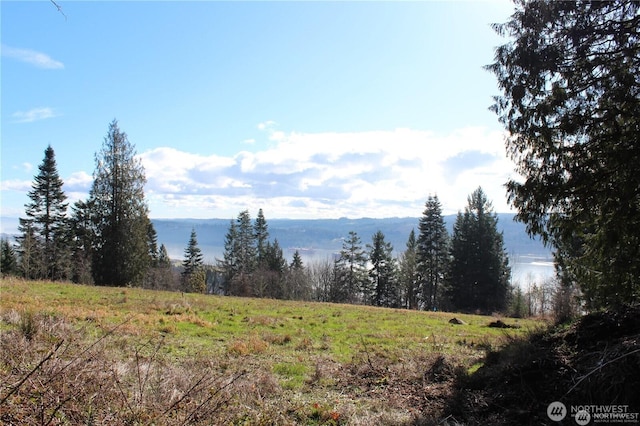 171 W Newt Ests, Longview, WA 98632
