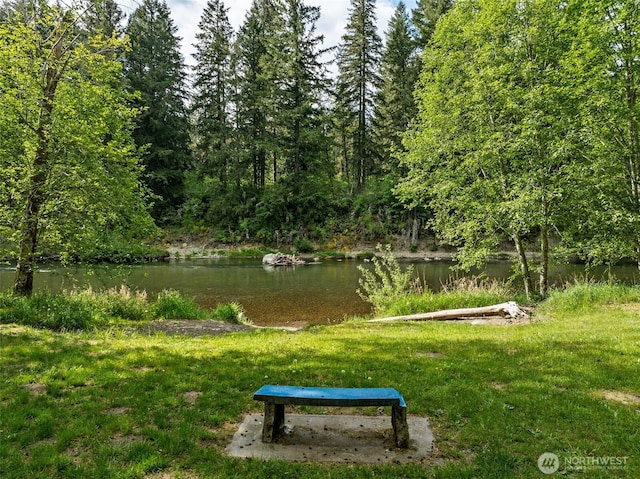 view of community featuring a wooded view and a water view