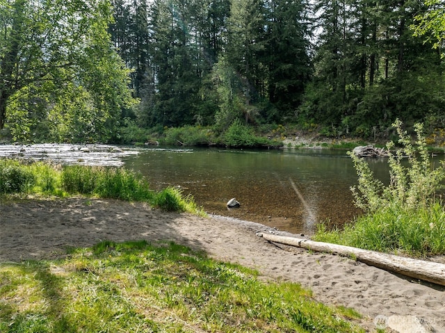 water view featuring a forest