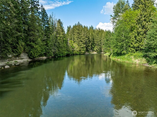 water view with a forest