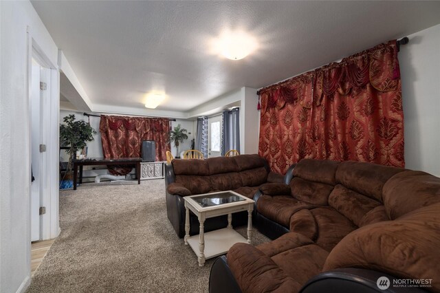 2809 E Sunset, Bellingham, WA 98226 - living room with light carpet