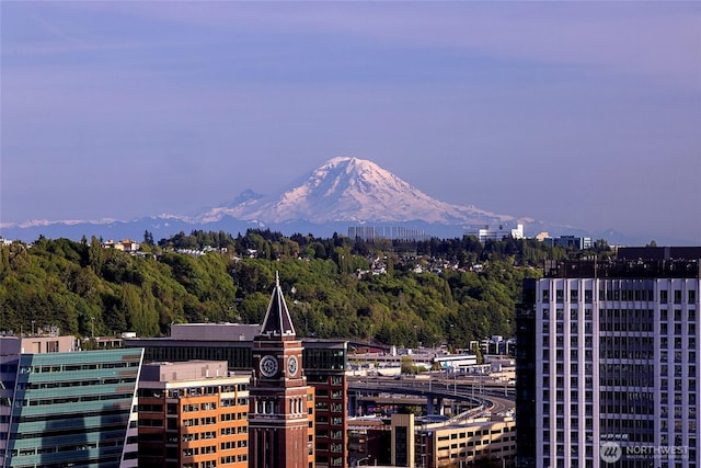 715 2nd Ave Unit 1801, Seattle, WA 98104 - mountain view with nearby urban area