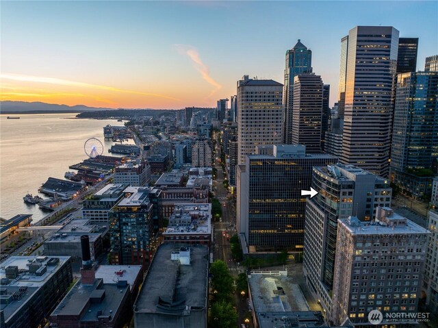 715 2nd Ave Unit 1801, Seattle, WA 98104 - view of city with a nearby body of water