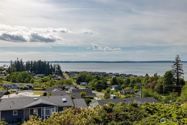 987 NW Camano Dr, Camano Island, WA 98282 - aerial view of residential area featuring a large body of water