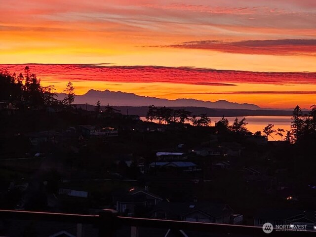 987 NW Camano Dr, Camano Island, WA 98282 - mountain view with a large body of water