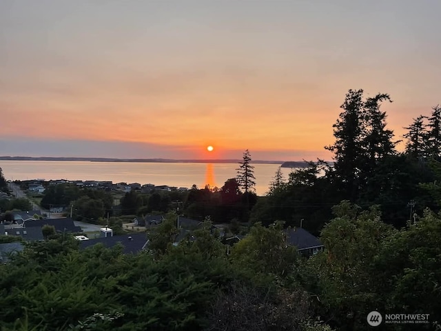 987 NW Camano Dr, Camano Island, WA 98282 - view of city with a large body of water