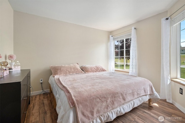 61 Patriot Way, Sequim, WA 98382 - bedroom featuring multiple windows, baseboards, and dark wood-type flooring