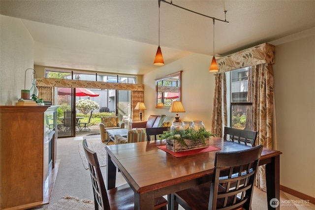 7806 Birch Bay Dr Unit 515, Blaine, WA 98230 - dining area with carpet and a textured ceiling