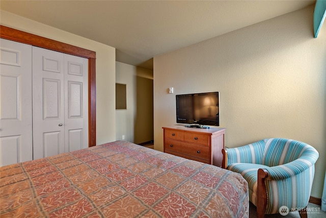 7806 Birch Bay Dr Unit 515, Blaine, WA 98230 - bedroom featuring a closet