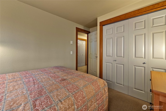 7806 Birch Bay Dr Unit 515, Blaine, WA 98230 - bedroom featuring a closet and carpet flooring