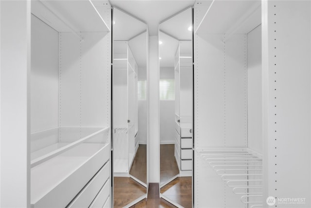 spacious closet with wood finished floors