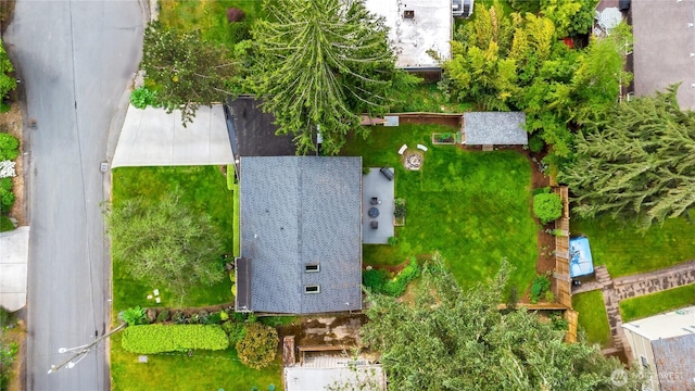 drone / aerial view