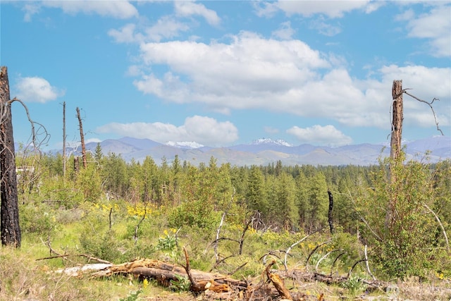 70TBD Hill Dr, Twisp, WA 98856