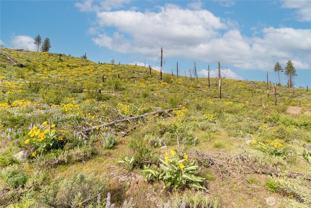 70TBD Hill Dr, Twisp, WA 98856