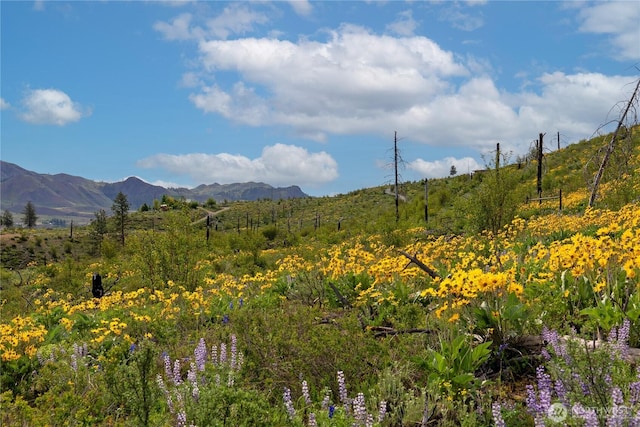 70TBD Hill Dr, Twisp, WA 98856