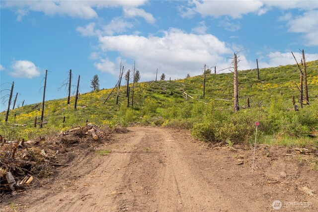 70TBD Hill Dr, Twisp, WA 98856