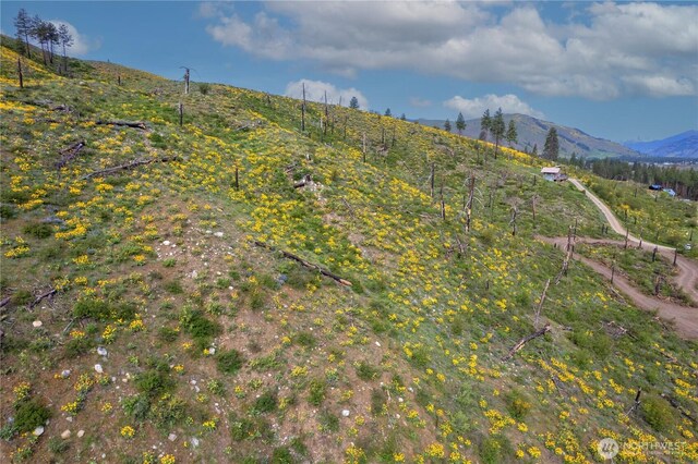 70TBD Hill Dr, Twisp, WA 98856