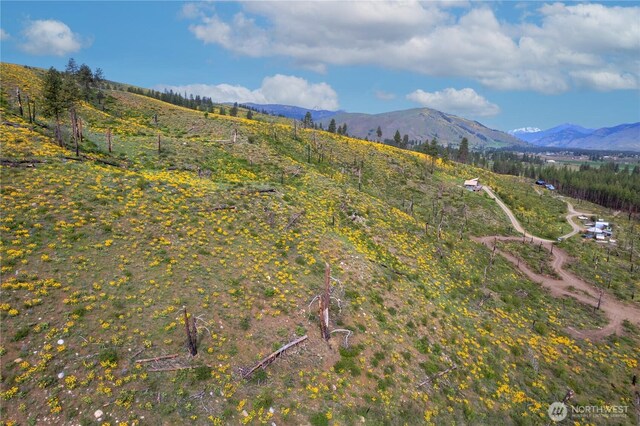 70TBD Hill Dr, Twisp, WA 98856