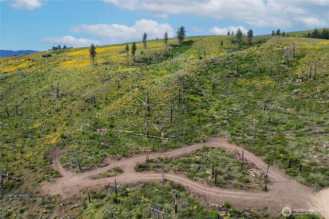 70TBD Hill Dr, Twisp, WA 98856