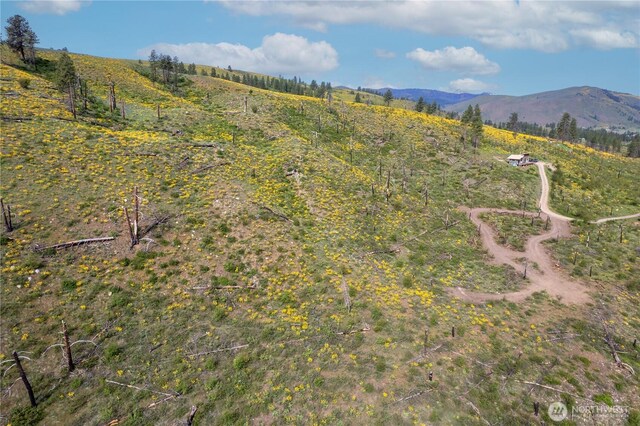 70TBD Hill Dr, Twisp, WA 98856