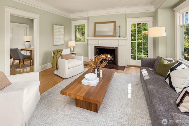 living area with wood finished floors, a lit fireplace, and crown molding