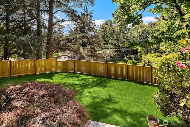view of yard