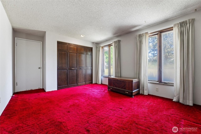 5207 NW Painted Hills Rd, Ephrata, WA 98823 - bedroom featuring dark carpet, a textured ceiling, and a closet