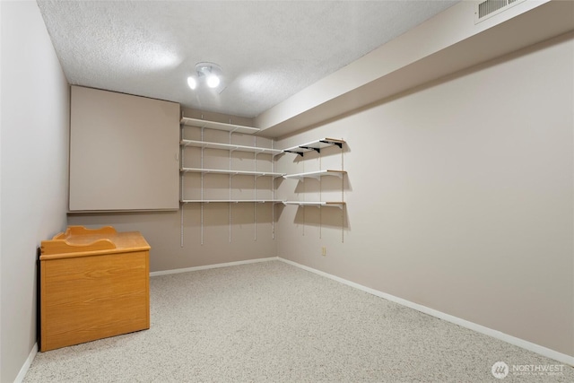 5207 NW Painted Hills Rd, Ephrata, WA 98823 - walk in closet featuring carpet flooring