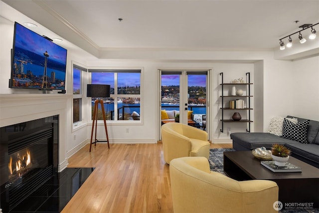 1416 6th Ave N, Seattle, WA 98109 - living area featuring a fireplace with flush hearth, wood finished floors, ornamental molding, baseboards, and track lighting