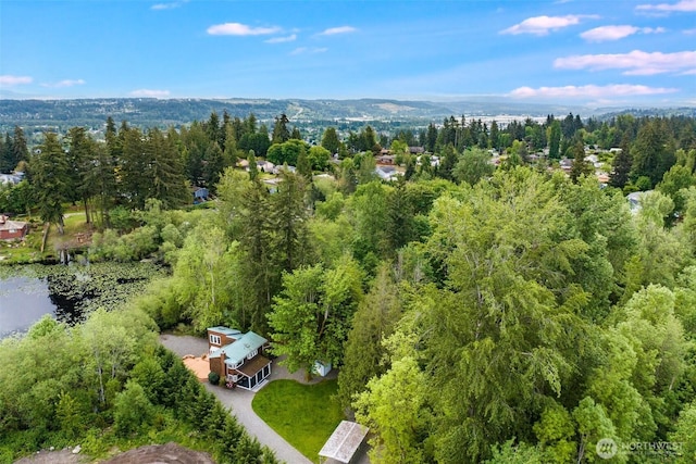 drone / aerial view of a forest